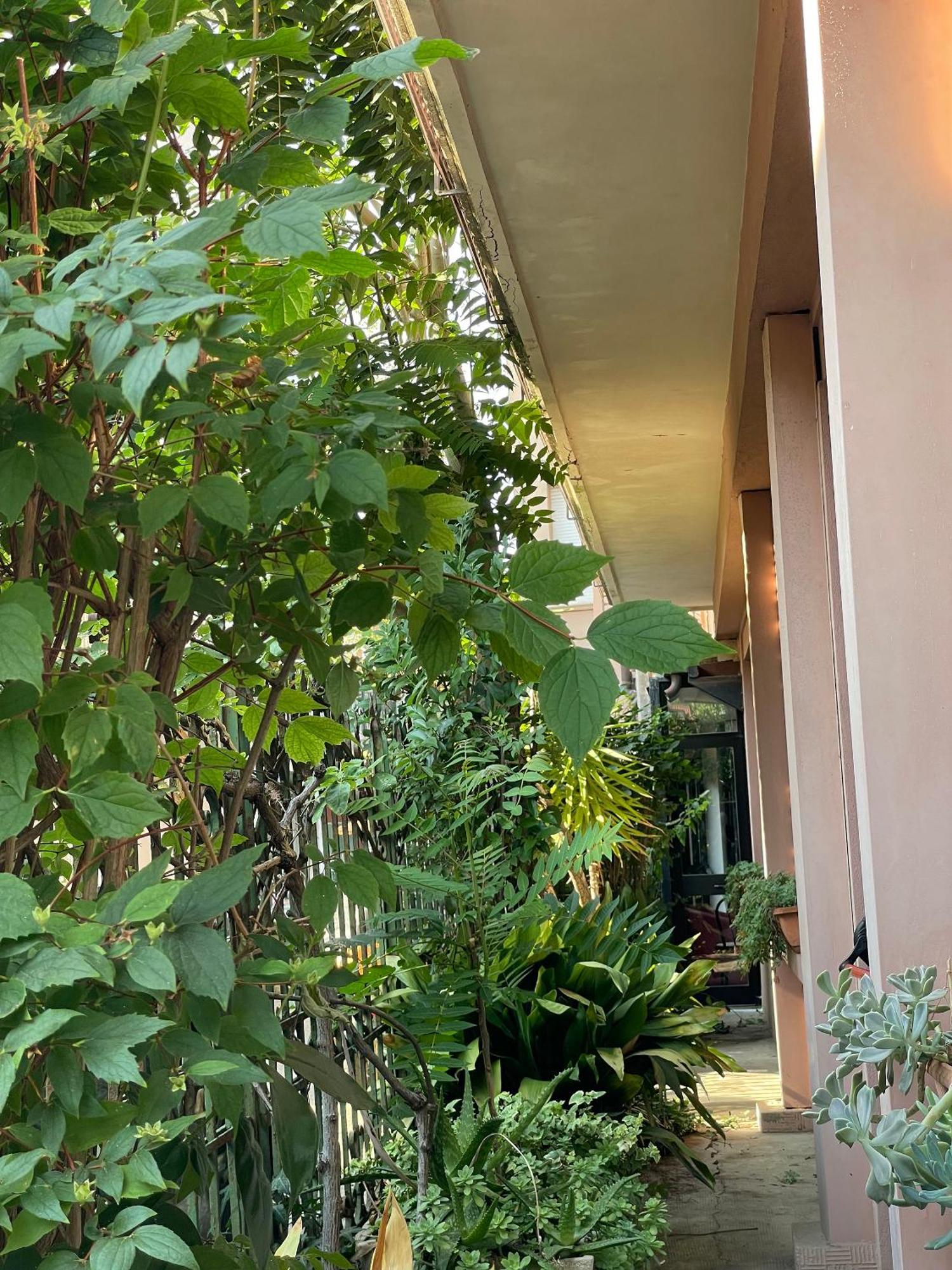 Hotel Berlino Cattolica Bagian luar foto